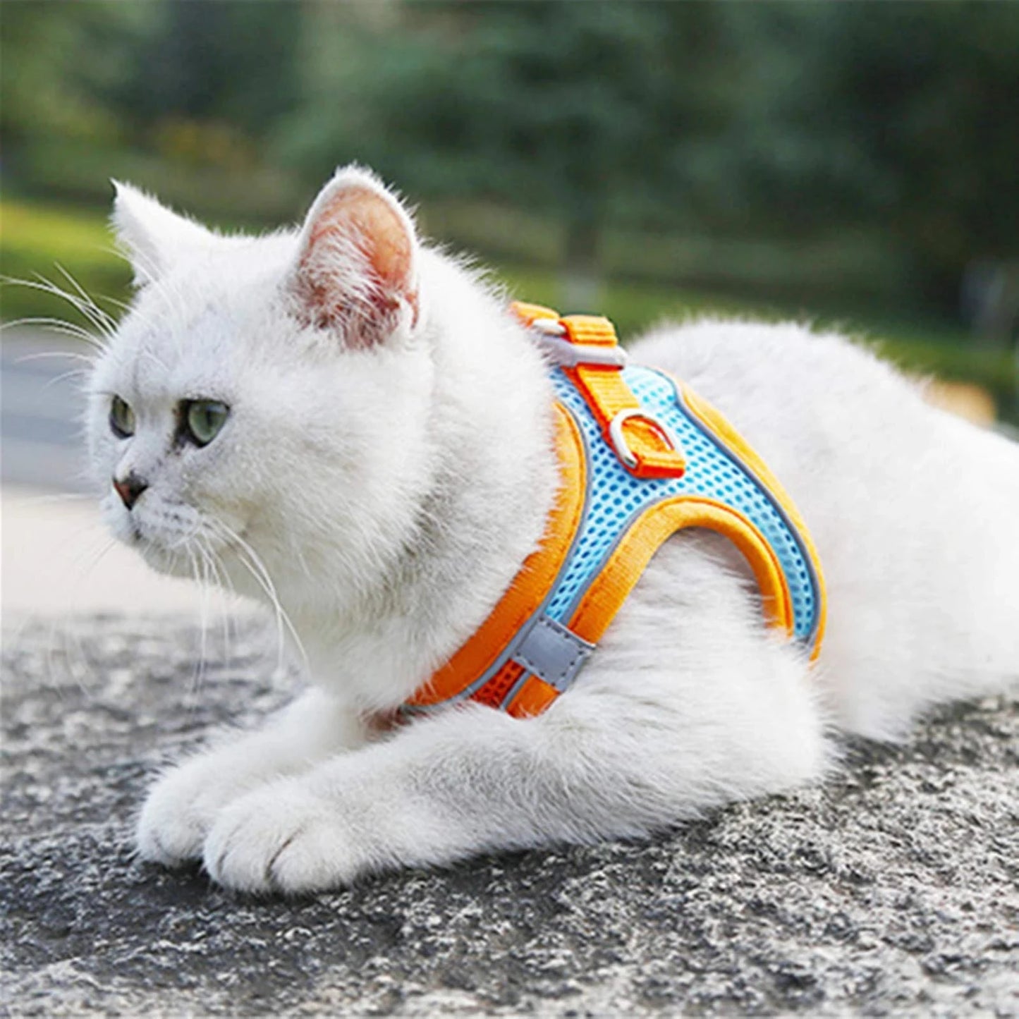 Cat Harness Reflective Pet Harnesses And Leashes Set Adjustable Pet